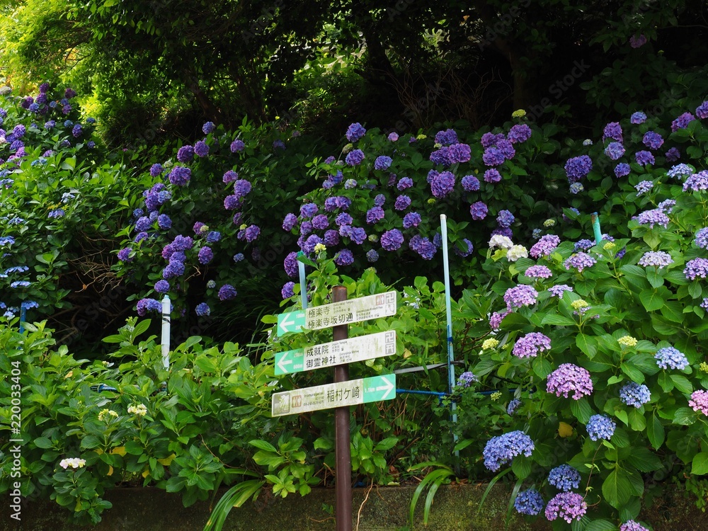 custom made wallpaper toronto digitalEnoden line Gokurakuji station and direction sign