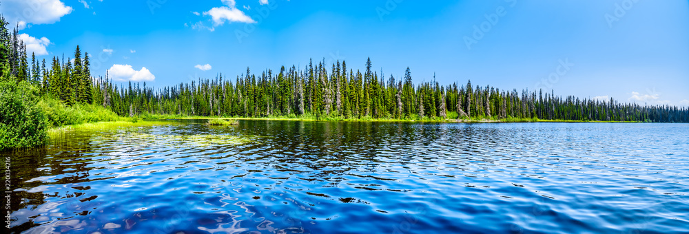Fototapeta premium The clear water of McGillivray Lake, a high alpine lake near the alpine village of Sun Peaks in the Shuswap Highlands of the central Okanagen in British Columbia, Canada