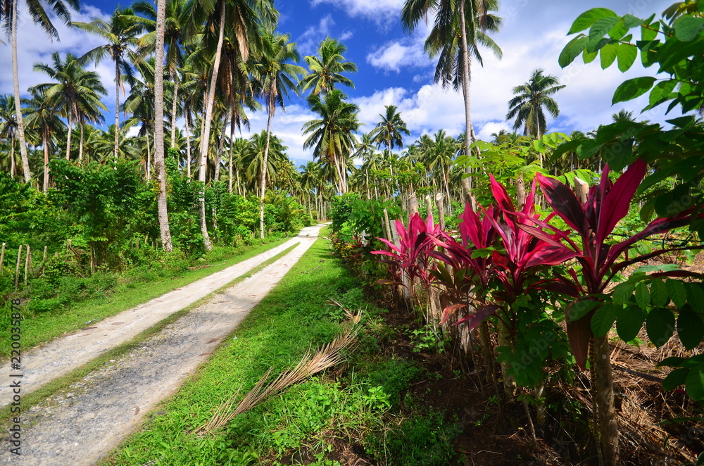 Obraz premium Samoan local road