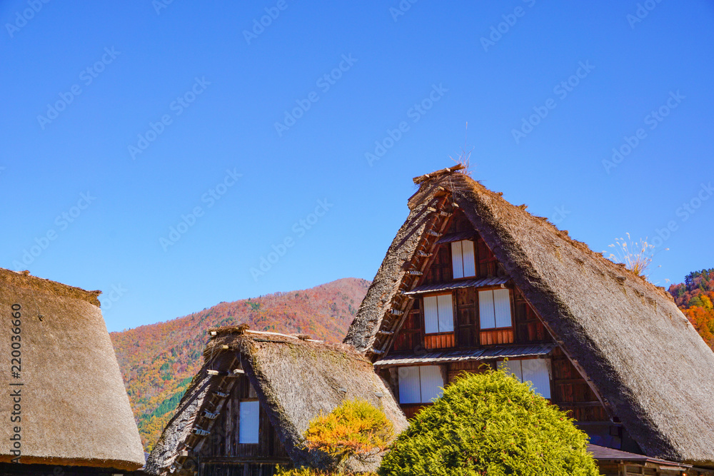 A beautiful fall of UNESCO World Heritage Shirakawago in Gifu, Japan.  ユネスコ世界遺産白川郷の美しき秋　日本岐阜県白川村
