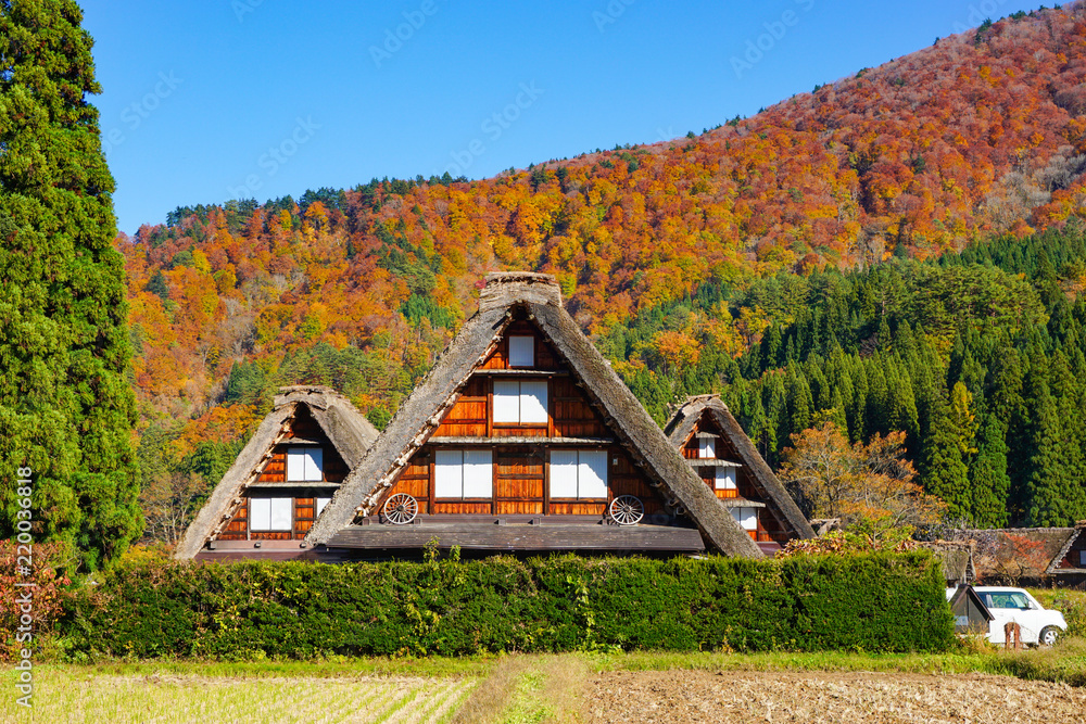 A beautiful fall of UNESCO World Heritage Shirakawago in Gifu, Japan.  ユネスコ世界遺産白川郷の美しき秋　日本岐阜県白川村