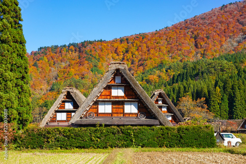 Cuadro en lienzo A beautiful fall of UNESCO World Heritage Shirakawago in Gifu, Japan