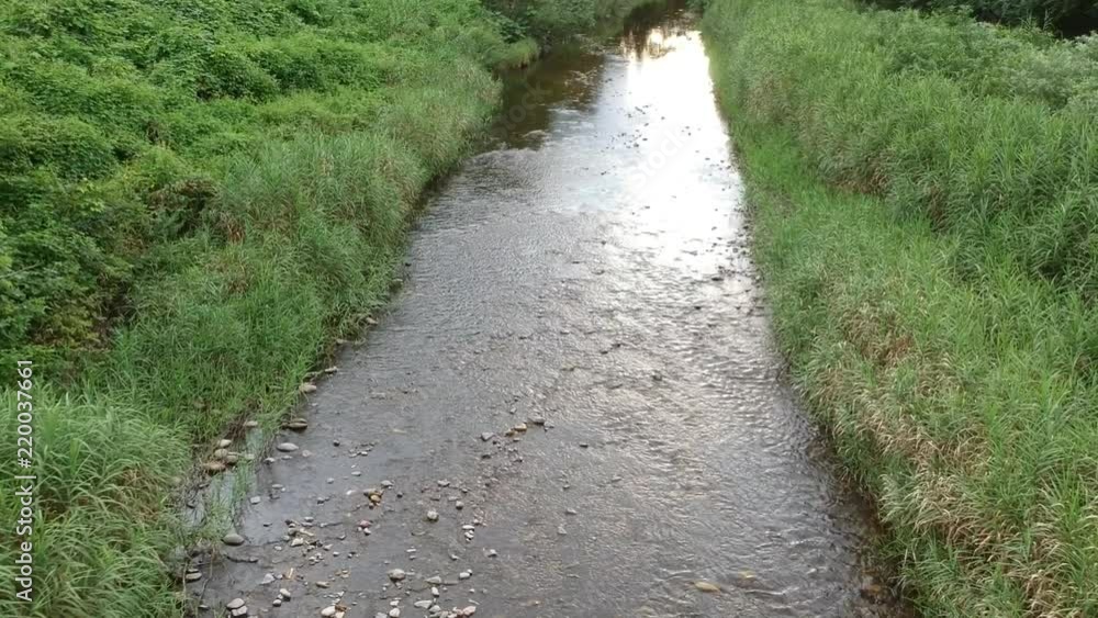川の流れ 自然風景 空撮 ドローン 移動撮影 秋田県 田舎の景色 夏 川の流れ 自然風景 空撮 ドローン 移動撮影 秋田県 田舎の景色 夏