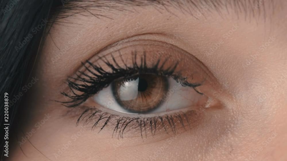 Beauty Macro Close-up Brown woman's eye blinking Beauty Macro Close-up Brown woman's eye blinking