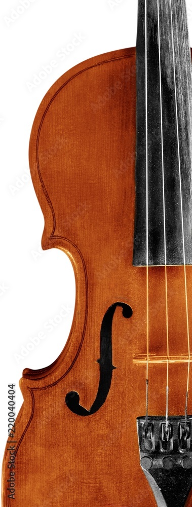 Close-up antique classical Violin on grey background Close-up antique classical Violin on grey background