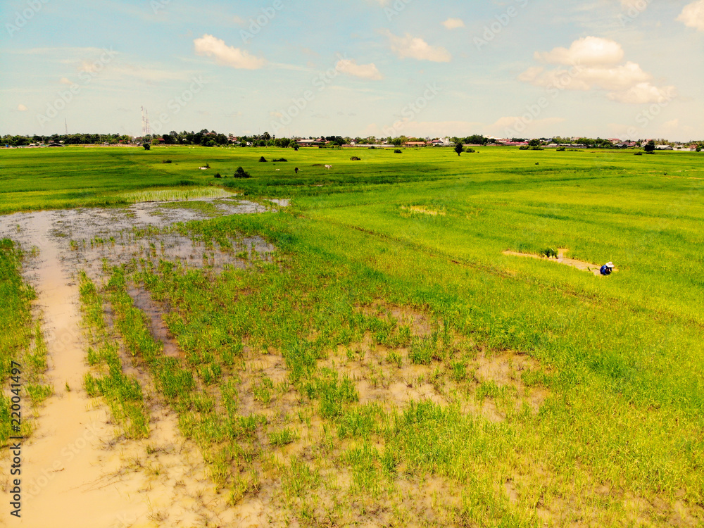Naklejka premium Aerial View of Farm and Field, at Siem Reap, Cambodia