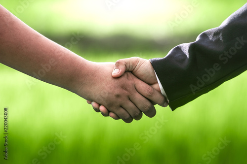 Businessman shaking hands in rice field, Business concepts