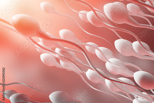 The movement of sperm to the egg on a red background. 3d rendering photo