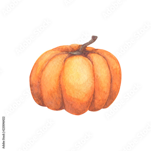 Pumpkin. Watercolor Hand painted pumpkin for halloween and Fall on white background. Autumn harvest. Vegetarian raw food
