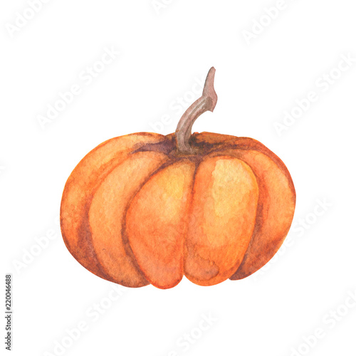 Pumpkin. Watercolor Hand painted pumpkin for halloween and Fall on white background. Autumn harvest. Vegetarian raw food