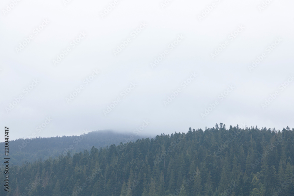 Mountain fog forest, misty foggy landscape. Dark nature mist.