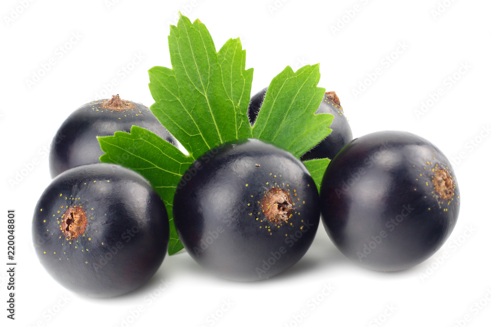 black currant with green leaf isolated on white background. macro black currant with green leaf isolated on white background. macro