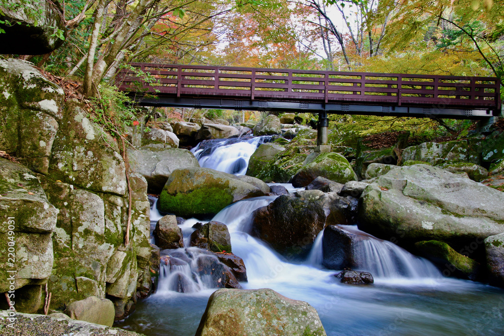 Fototapeta premium 秋の山鶏滝・やまどりたき（福島県・平田村）