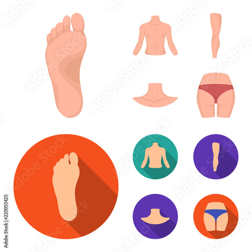 Torso, leg, neck and buttocks. Body parts set collection icons in cartoon,flat style vector symbol stock illustration web.