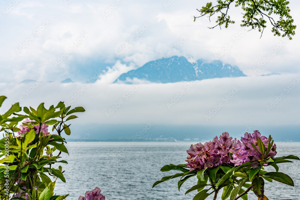 Switzerland, scenic view on Alps with fog, clouds near lake Leman Switzerland, scenic view on Alps with fog, clouds near lake Leman