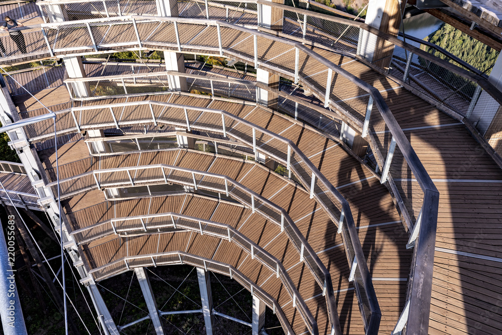 Obraz premium famous treetop path at saar loop