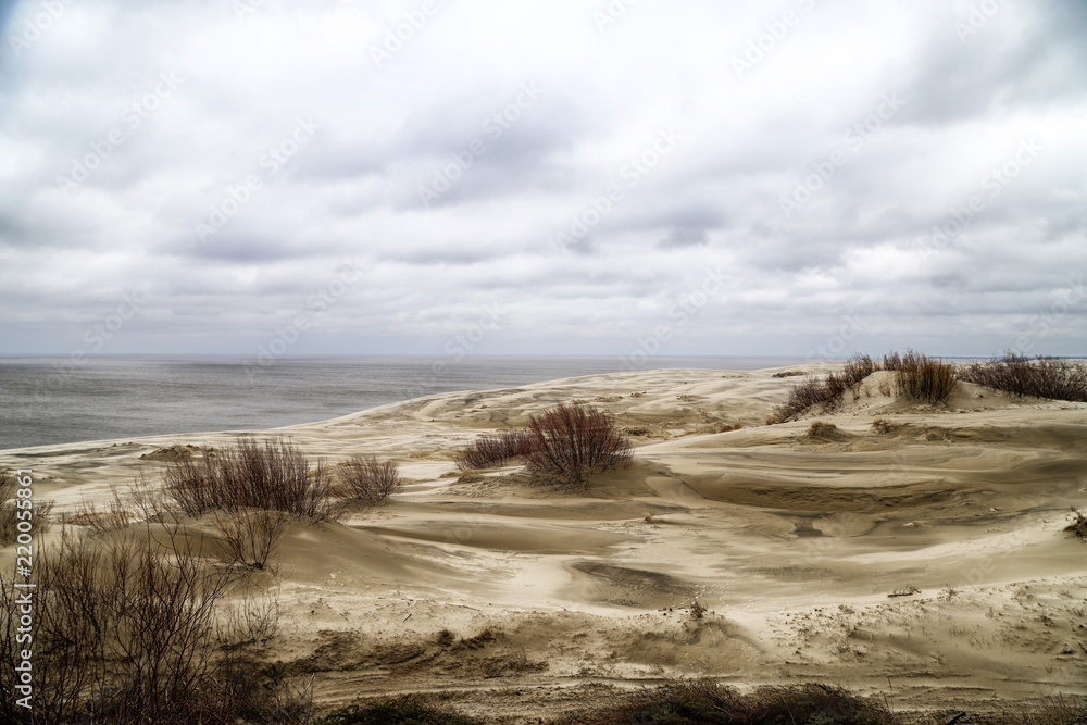 Beautiful view on sand dunes of the Curonian spit. Nida in Lithuania and Kaliningrad region in Russia