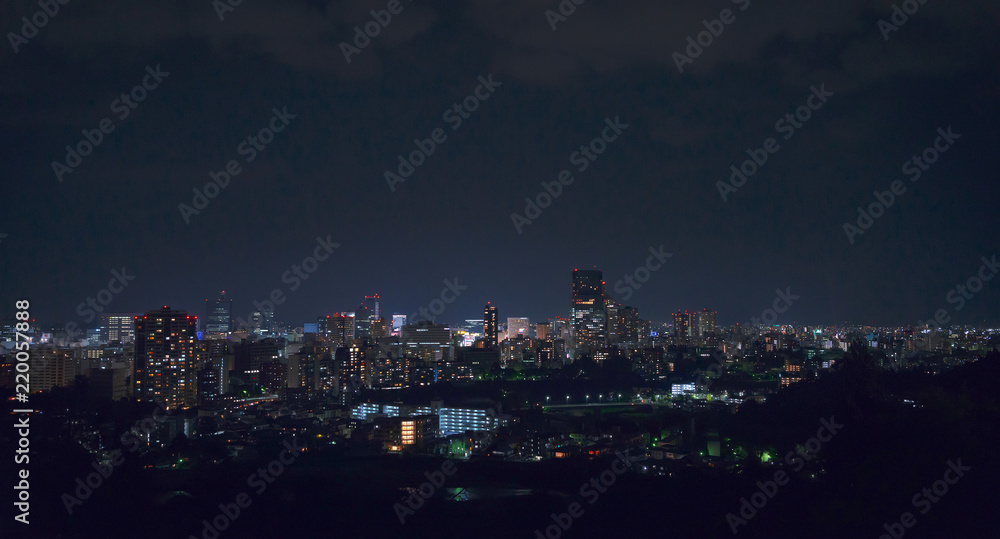 仙台市街地の夜景