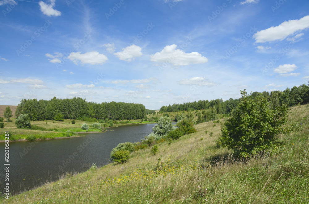 Sunny summer landscape with river and beautiful woods