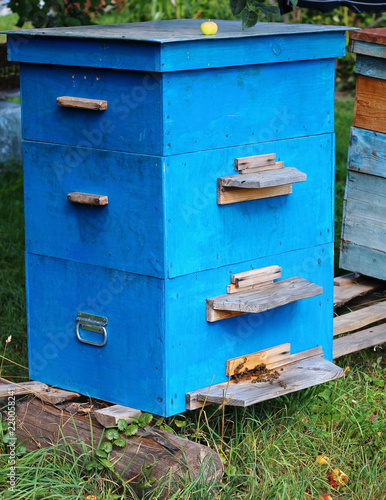 beehive with worker bees in the garden