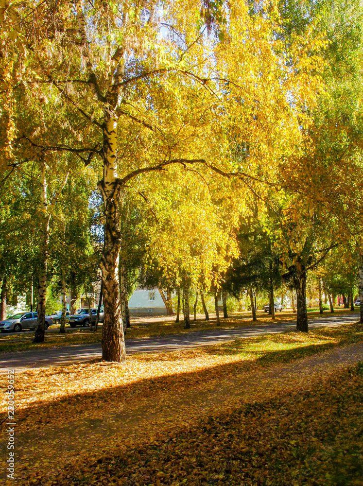 Autumn street