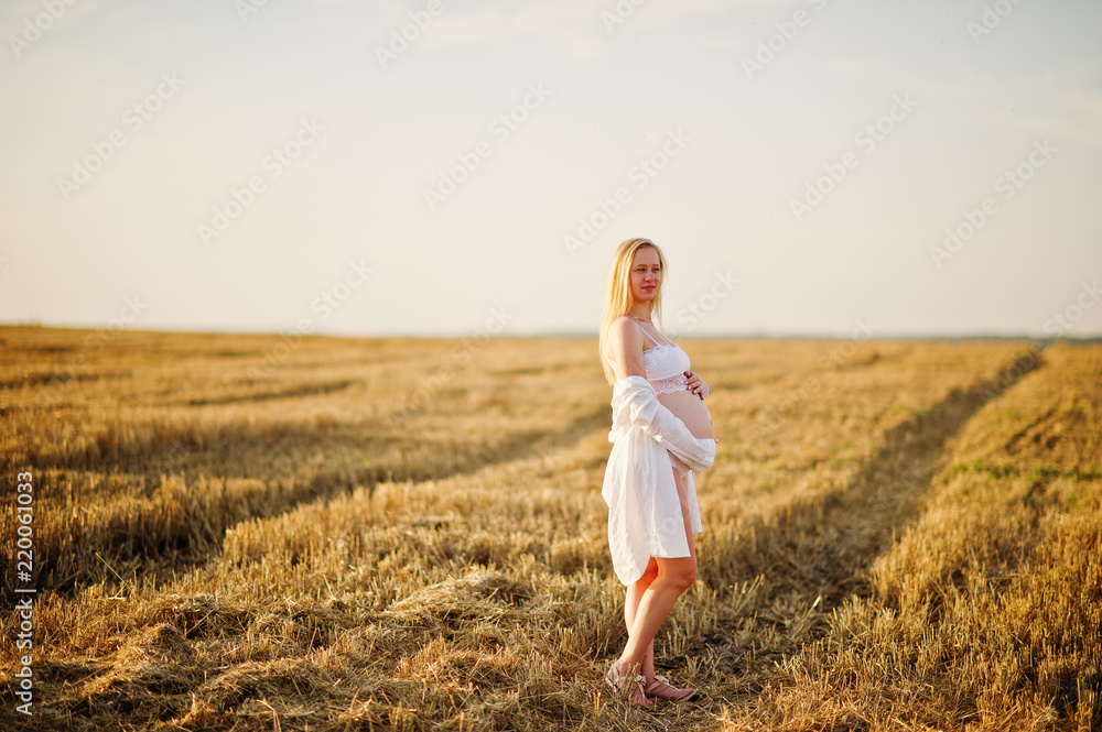 Blonde pregnant woman in wreath field at white underwear clothes on sunset. Happy moments of pregnancy. Blonde pregnant woman in wreath field at white underwear clothes on sunset. Happy moments of pregnancy.