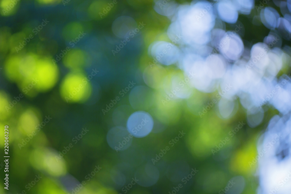 Blurred bokeh effect on a background of green tree leaves Blurred bokeh effect on a background of green tree leaves