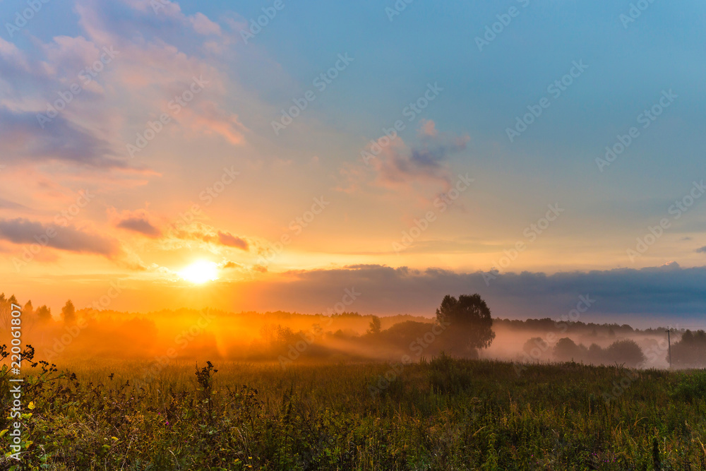 Foggy meadow with trees at sunset with cloudy sky. Summer nature landscape.