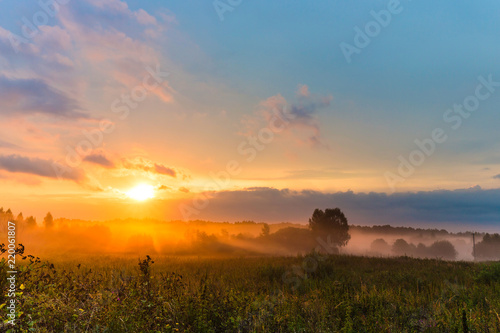 Foggy meadow with trees at sunset with cloudy sky. Summer nature landscape.