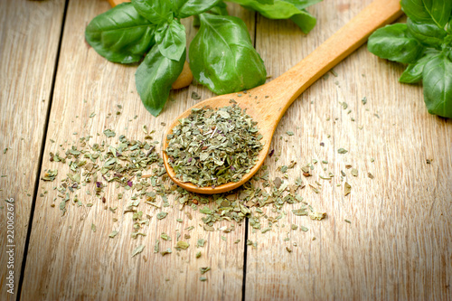 dry, dried and fresh organic basil in spoon on table photo