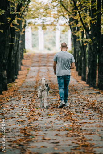 back view of man walking with siberian husky dog in autumn park
