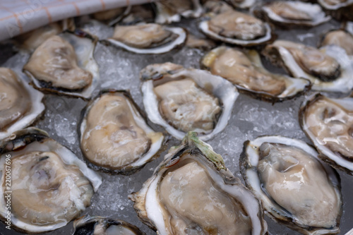 Tasty fresh oysters close-up on ice. Raw oysters are packed with nutrition, high in calcium, potassium, magnesium, vitamin and mineral. Flavor are sweet and refreshing. Believed to be an aphrodisiac.