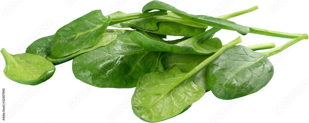 Fototapeta premium Young Spinach Leaves Isolated