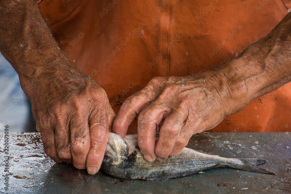 A man's hands cleaning a fish in a market A man's hands cleaning a fish in a market