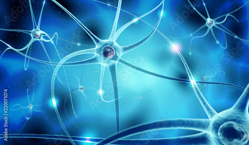nervous network and nerve cells in blue background photo