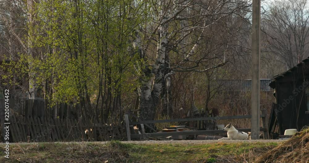 May, 2018 Krasny Yar, Primorsky Krai The remote village of the