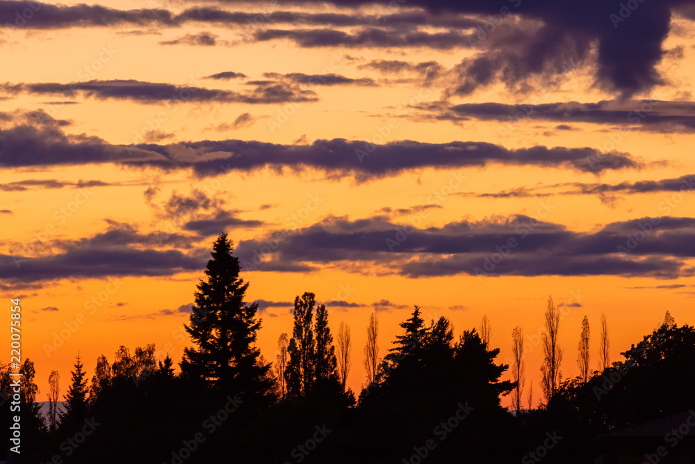 Obraz premium Colorful sunset with many tree silhouette shapes with clouds in the background