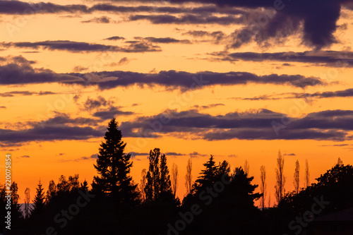 Colorful sunset with many tree silhouette shapes with clouds in the background © Tomas Buzek