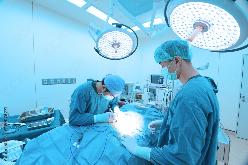 two of veterinarian surgery in operation room take with art lighting and blue filter two of veterinarian surgery in operation room take with art lighting and blue filter