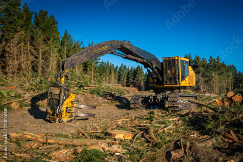 Tracked forestry machine in pine forest photo