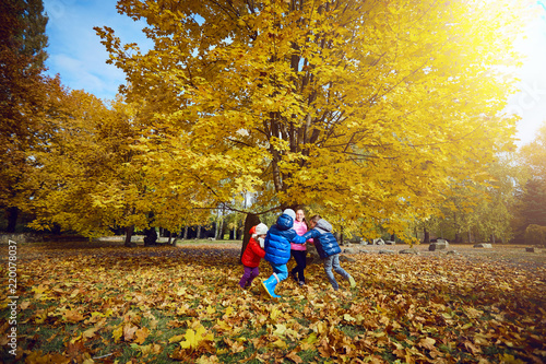 Happy children play in the autumn in a park.