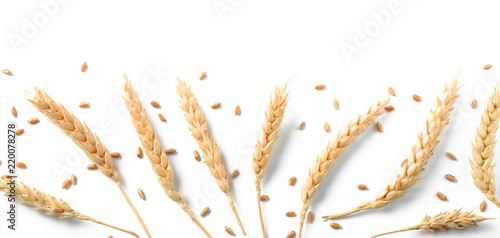Wheat spikelets and grains on white background