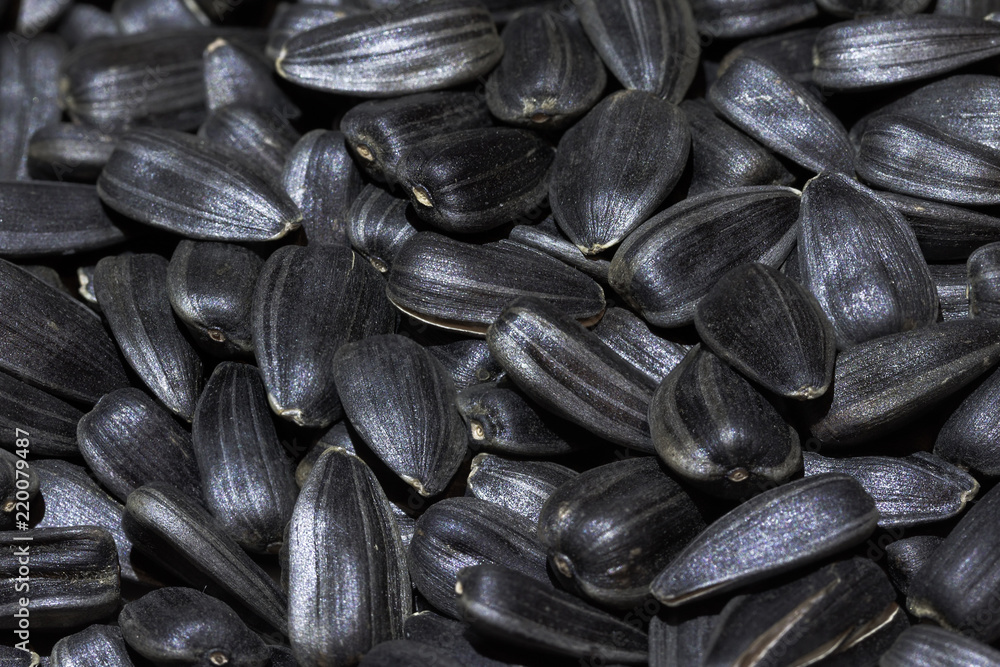 photo ripe sunflower seeds / background photo small depth of field photo ripe sunflower seeds / background photo small depth of field