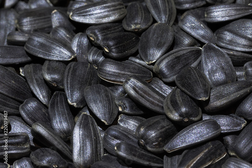 photo ripe sunflower seeds / background photo small depth of field