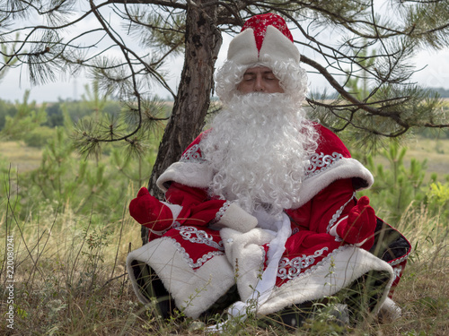 Father Frost meditates outdoors. The New Year's character sits in a lotus pose under fir-trees in the summer.