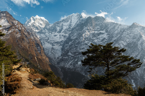 From monastery Tengboche on route to Everest, Nepal. On the right side of the tree , in front of the mountain, the path