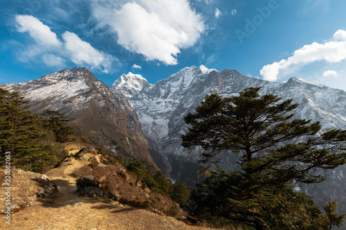 from monastery Tengboche on route to Everest, Nepal on the right side of the tree , in front of the mountain © Mikhail