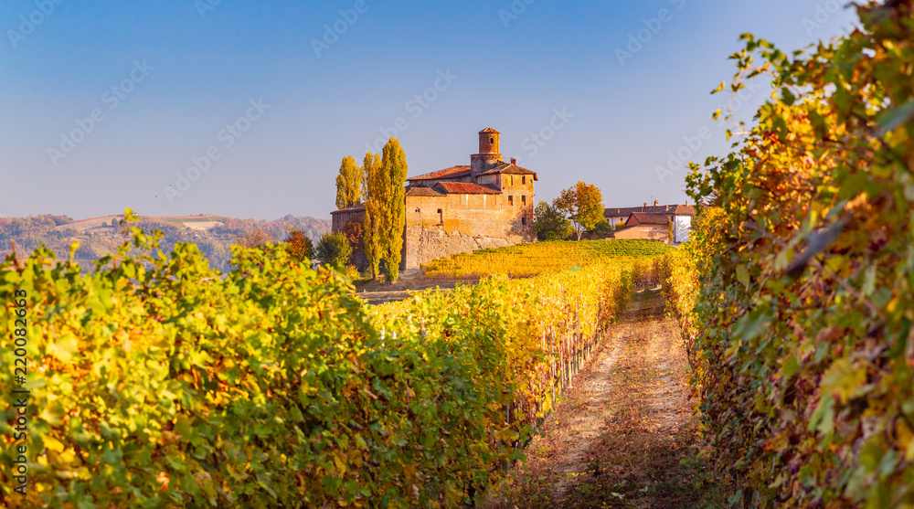 Langhe in Autunno, Piemonte, Italia