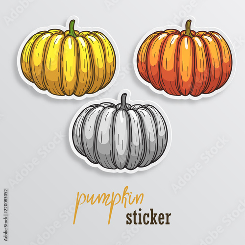 Pumpkin stickers. Different colors of pumpkin stickers