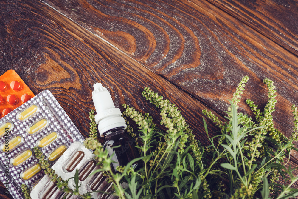 Fototapeta premium Ambrosia artemisiifolia allergy. Pills and nasal spray to cure ragweed allergy. Healthcare and medicine